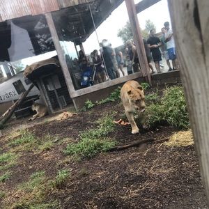 Meet your Posher, Logan